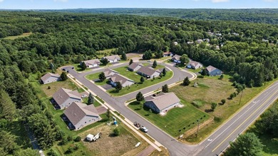 Welcome to 918 Gable Street in the desirable 55+ townhome - photo 34