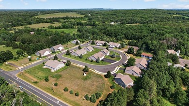 Welcome to 918 Gable Street in the desirable 55+ townhome - photo 35