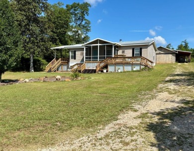 Lake Home For Sale in Abbeville, Alabama