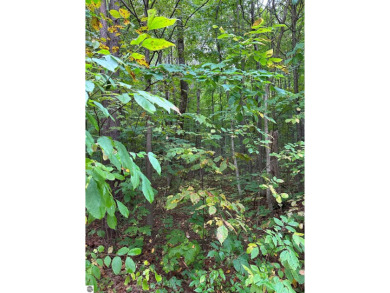 Pickerel Lake - Kalkaska County Lot For Sale in Kalkaska Michigan