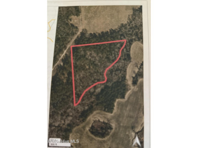 Lake Acreage For Sale in Pollocksville, North Carolina