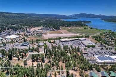 42165 Big Bear Blvd - photo 2