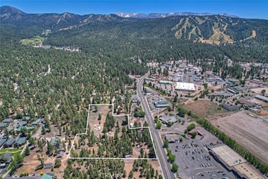 42165 Big Bear Blvd - photo 5