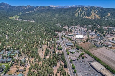 42165 Big Bear Blvd - photo 6