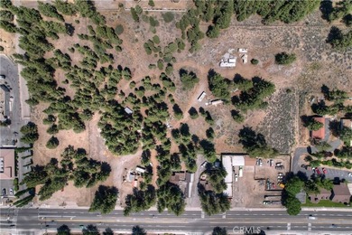 42165 Big Bear Blvd - photo 8