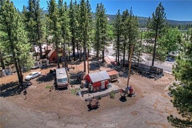 42165 Big Bear Blvd - photo 10