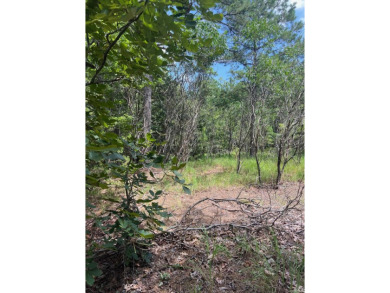 Lake Acreage For Sale in Shirley, Arkansas