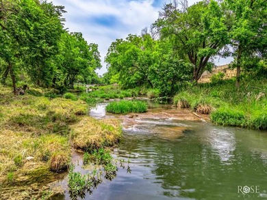 (private lake, pond, creek) Acreage For Sale in Christoval Texas