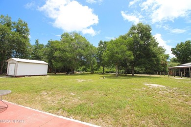 Almost an acre of high and dry land in the heart of Port Orange - photo 4