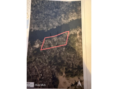 Lake Lot For Sale in Pollocksville, North Carolina