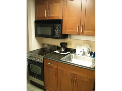 Direct oceanfront condo in the extremely popular Holiday - photo 5