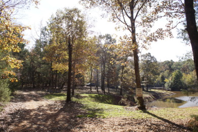 5 acre lake on 18.5 acres Chandler - photo 24