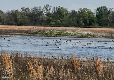 (private lake, pond, creek) Acreage For Sale in Cord Arkansas