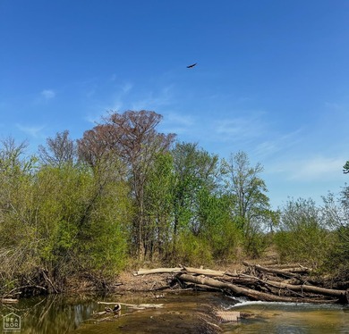 1,962 Acres on the Black River | A Once-in-a-Generation Arkansas - photo 4