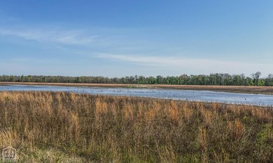 1,962 Acres on the Black River | A Once-in-a-Generation Arkansas - photo 8