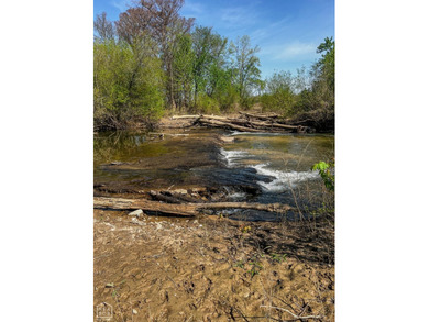 1,962 Acres on the Black River | A Once-in-a-Generation Arkansas - photo 9