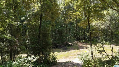 Cahaba River Acreage Active Under Contract in Centreville Alabama