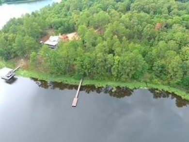 Lake Lot For Sale in Fort Gaines, Georgia