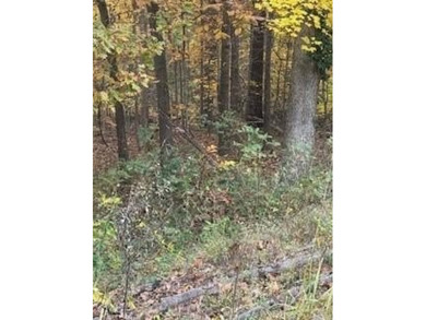 Lake Windsor Lot For Sale in Bella Vista Arkansas