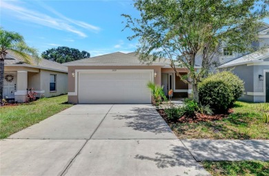 Lake Home For Sale in Gibsonton, Florida