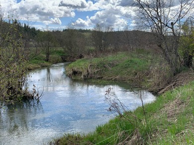 Lake Acreage For Sale in Springdale, Washington