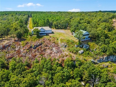 Spring Mountain Estate spans 1,675+/- contiguous acres in Yell & - photo 2