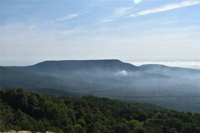 Spring Mountain Estate spans 1,675+/- contiguous acres in Yell & - photo 3