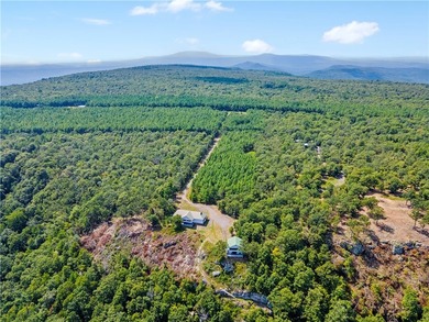 Spring Mountain Estate spans 1,675+/- contiguous acres in Yell & - photo 4