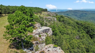 Spring Mountain Estate spans 1,675+/- contiguous acres in Yell & - photo 10