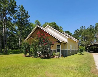 Lake Eufaula / Walter F. George Home For Sale in Georgetown Georgia