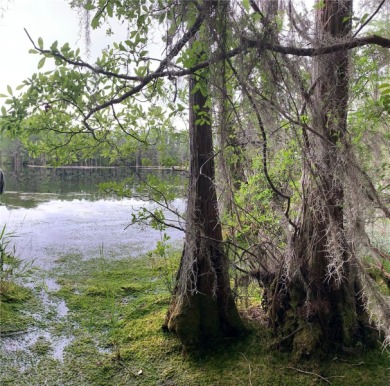 (private lake, pond, creek) Acreage For Sale in Lee Florida