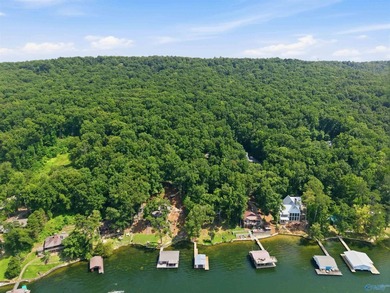 Waterfront cabin on Lake Guntersville! Completely renovated 4 - photo 31