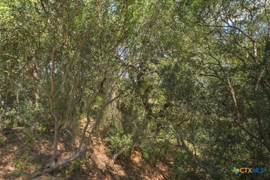 A rare opportunity to own a true piece of Texas history. This - photo 38