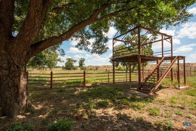 A rare opportunity to own a true piece of Texas history. This - photo 44