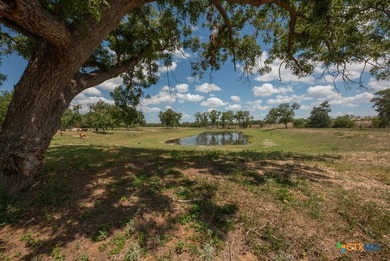 A rare opportunity to own a true piece of Texas history. This - photo 46