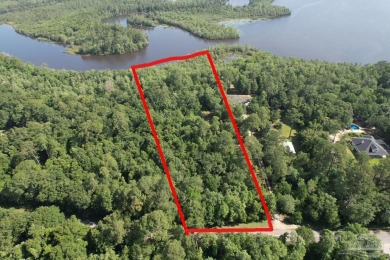 Lake Acreage For Sale in Milton, Florida