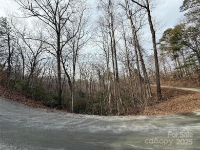 Lake Lot For Sale in Lake Lure, North Carolina