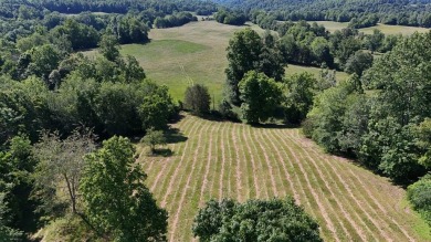 Lake Lot For Sale in Burkesville, Kentucky