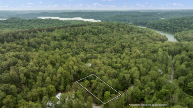 Build Your Dream Lake Home!!  Enjoy Community Lake Access - photo 1