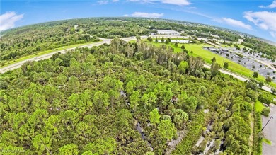 We are proud to present this Exceptional Commercial Property - photo 18