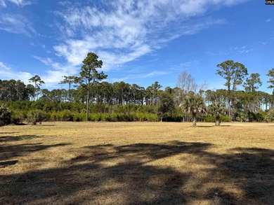 Prime Edisto Island opportunity! This 1.07-acre cleared vacant - photo 1