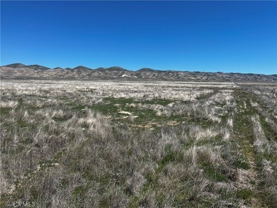 Soda Lake Acreage For Sale in Santa Margarita California