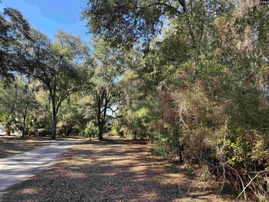 Prime Edisto Island opportunity! This 1.07-acre cleared vacant - photo 2