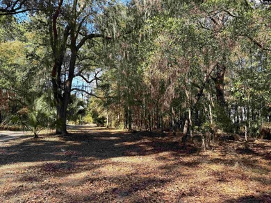 Prime Edisto Island opportunity! This 1.07-acre cleared vacant - photo 3