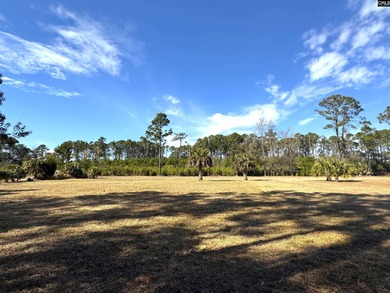 Prime Edisto Island opportunity! This 1.07-acre cleared vacant - photo 4