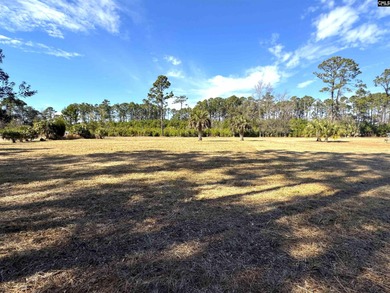 Prime Edisto Island opportunity! This 1.07-acre cleared vacant - photo 5