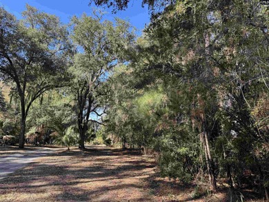 Prime Edisto Island opportunity! This 1.07-acre cleared vacant - photo 9