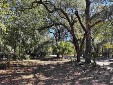 Prime Edisto Island opportunity! This 1.07-acre cleared vacant - photo 10
