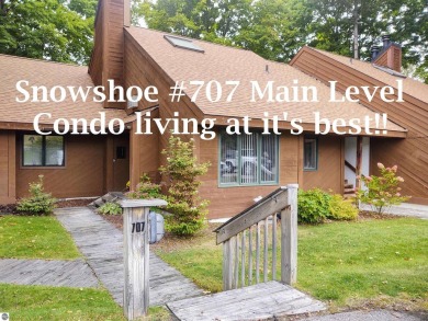 (private lake, pond, creek) Condo For Sale in Bellaire Michigan