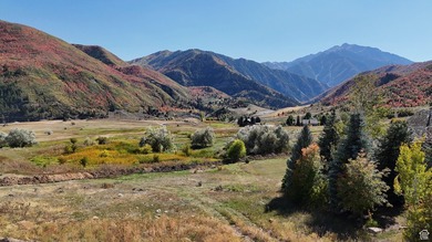 One of the last remaining building lots in all of Provo Canyon - photo 3